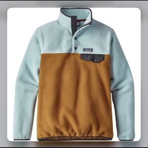 Patagonia Blue and Brown Fleece Jacket